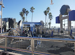 Gold's Gym Venice thumb 8